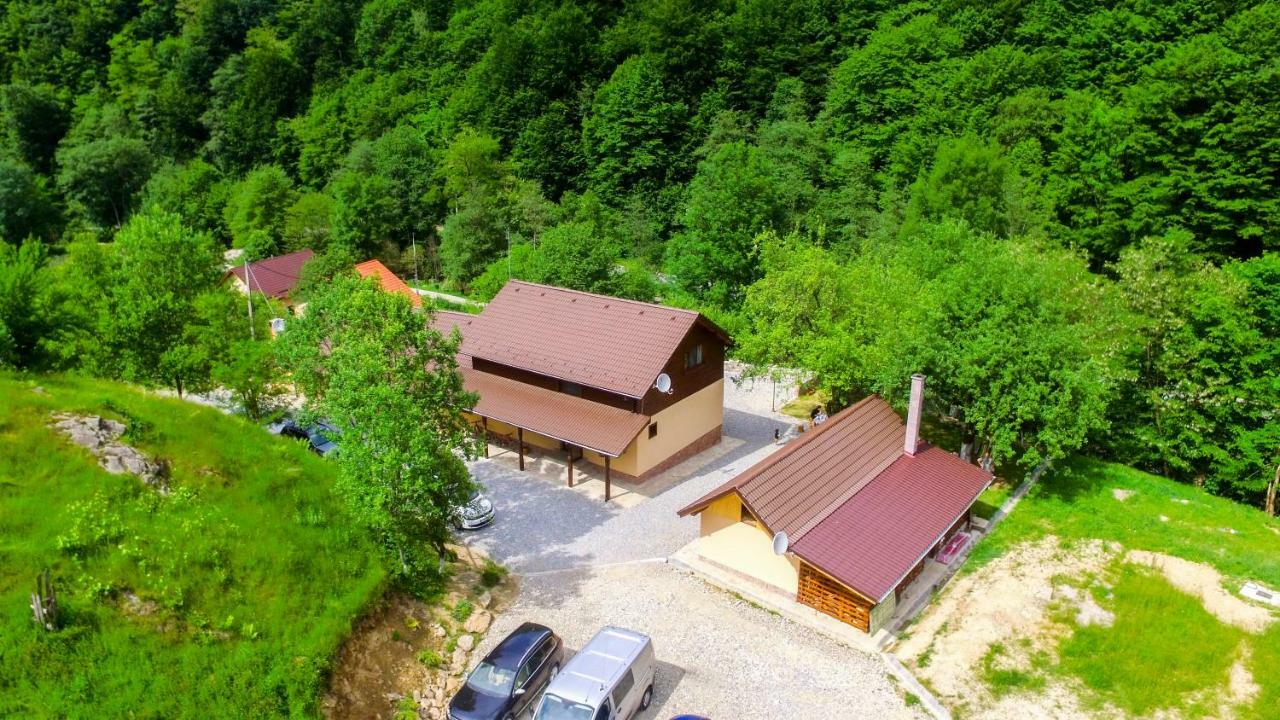 Pensiunea Lupul Dacic Costeşti المظهر الخارجي الصورة